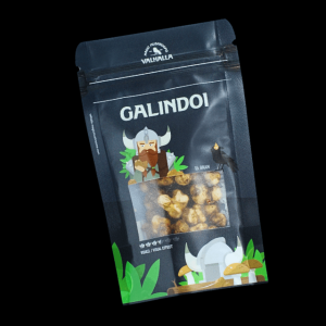 Magic-Mushrooms-Galindoi-600x600_cleanup Magic Truffles Galindoi