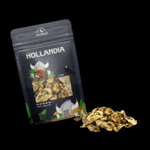 Magic-Truffles-Hollandia_cleanup Magic Truffles Hollandia