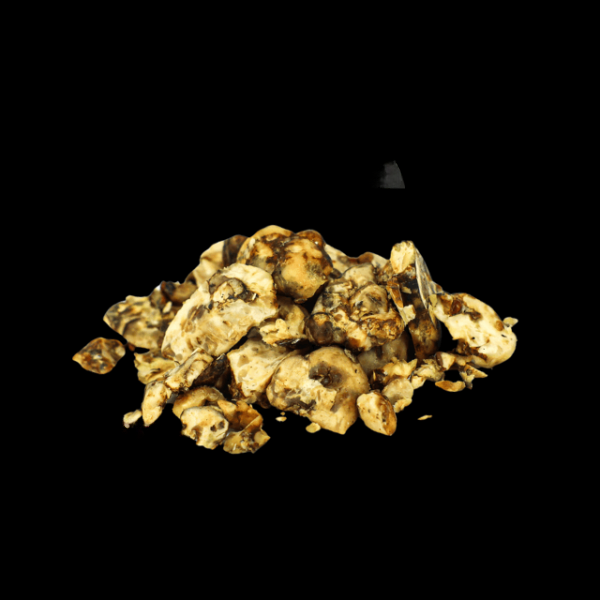 Psilocybin-Hollandia-600x600_cleanup Magic Truffles Hollandia