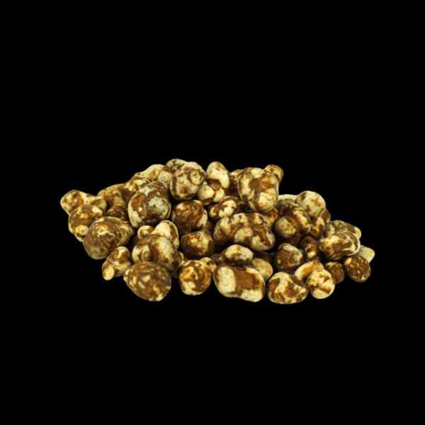 Psilocybin-Mexicana_cleanup Magic Truffles Pajaritos