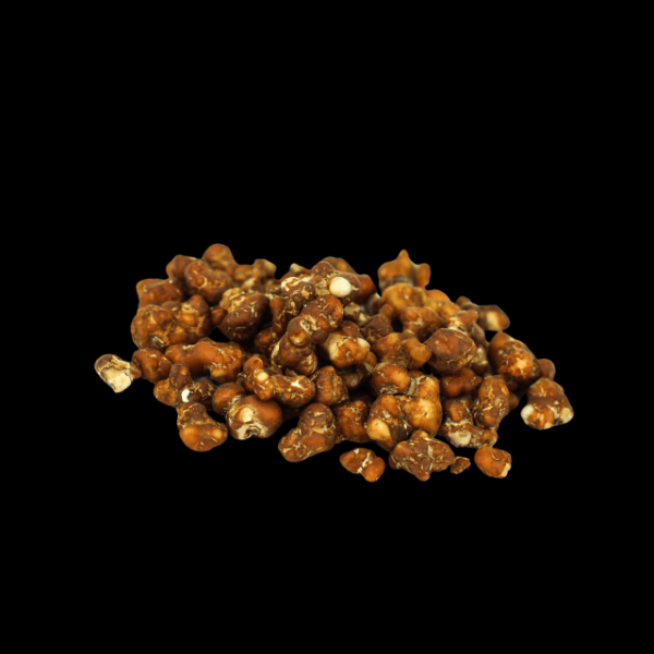 Psilocybin-Tampanensis-1_cleanup Magic Truffles Tampanensis