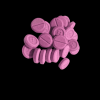 AMT Pellets 300mg