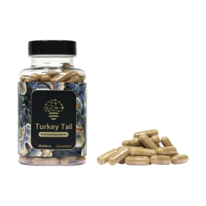 Medicinal mushroom capsules