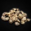 Magic Truffles Bulk (Psilocybe Atlantis)