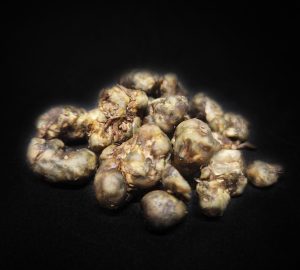 Magic Truffles Bulk (Psilocybe Atlantis)